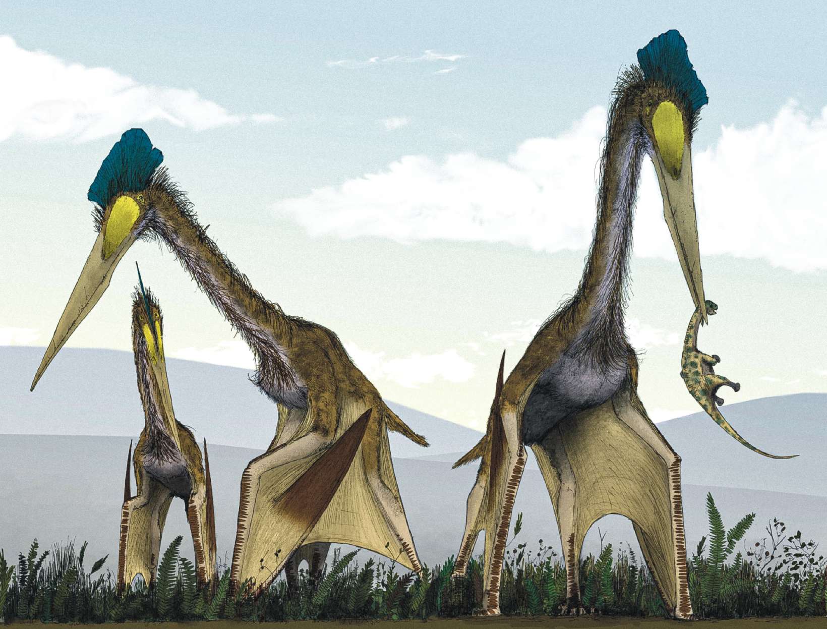 Quetzalcoatlus: Zemes lielākā lidojošā būtne ar 40 pēdu spārnu platumu 2