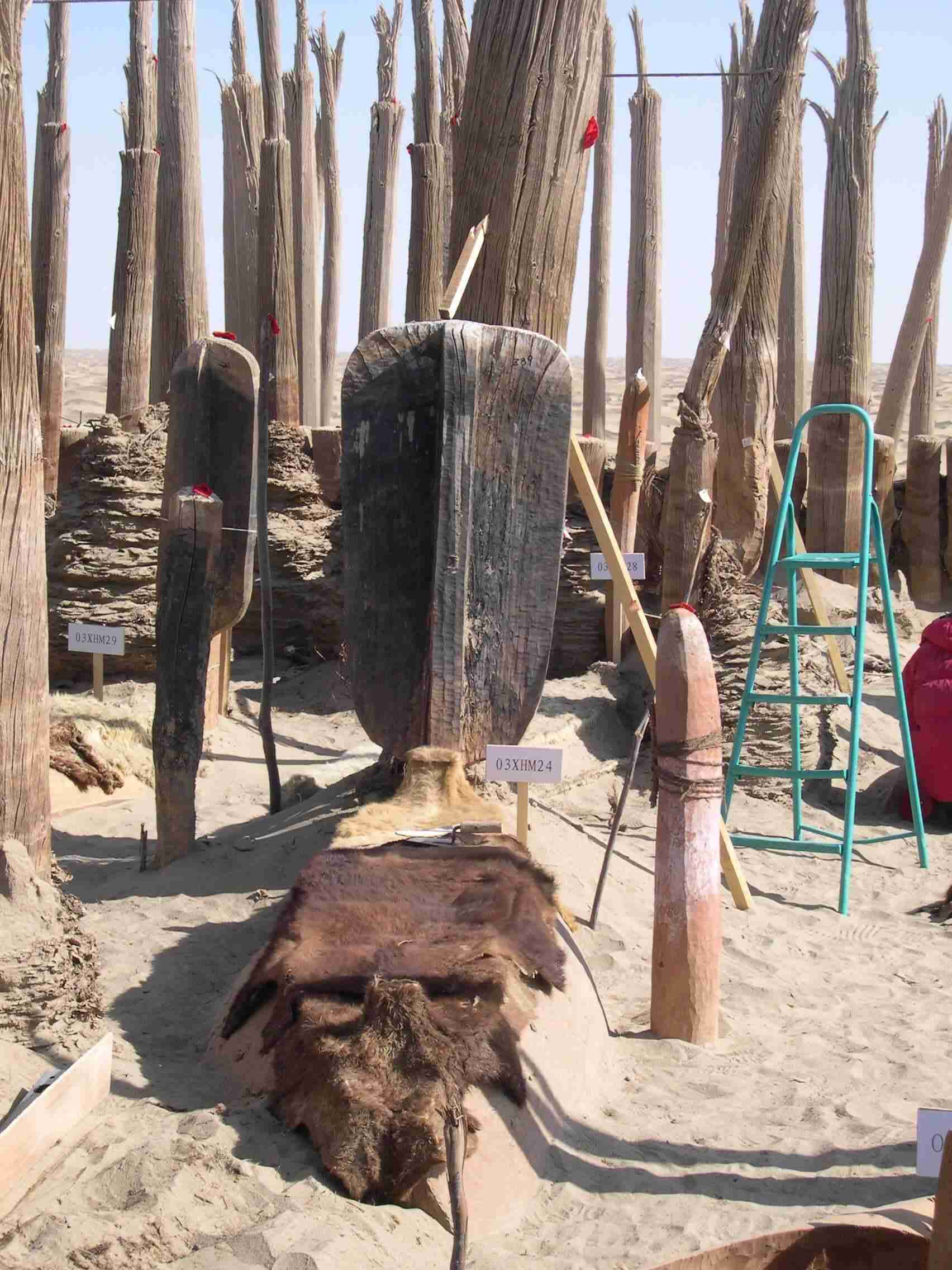Misteriosas momias encontradas en el desierto chino tienen un origen inesperado vinculado a Siberia y América 4