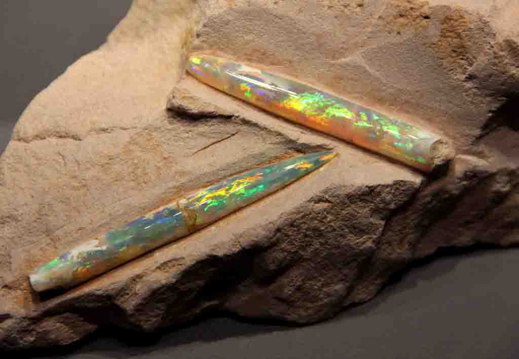 Opaal gemaakte krabklauw: hoe vormen opaal gemaakte fossielen? 4