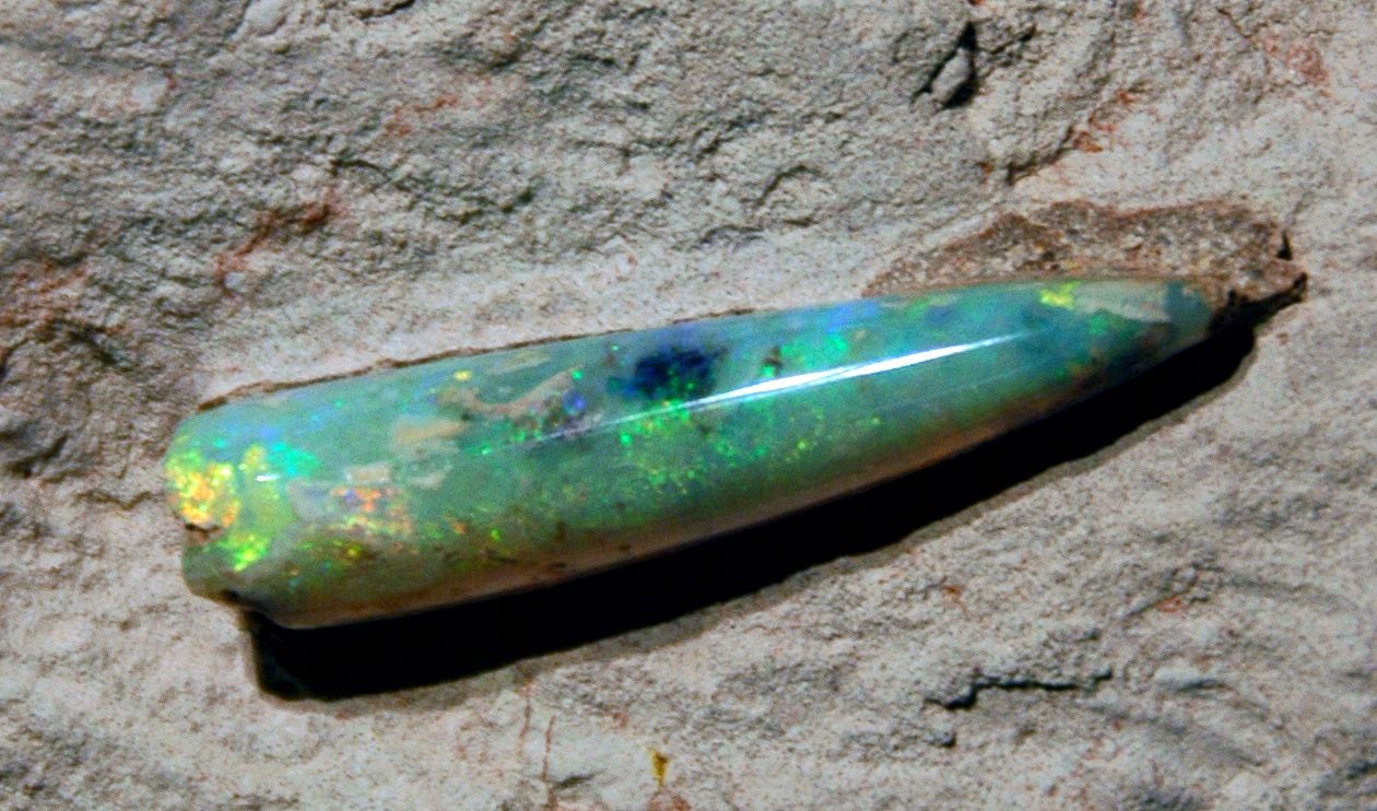 Opaal gemaakte krabklauw: hoe vormen opaal gemaakte fossielen? 2