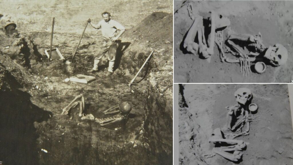 The discovery of the skeletal remains of blonde giants on Catalina Island 2
