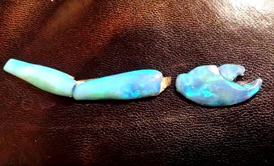 Opalized crab claw: How do opalized fossils form? 6