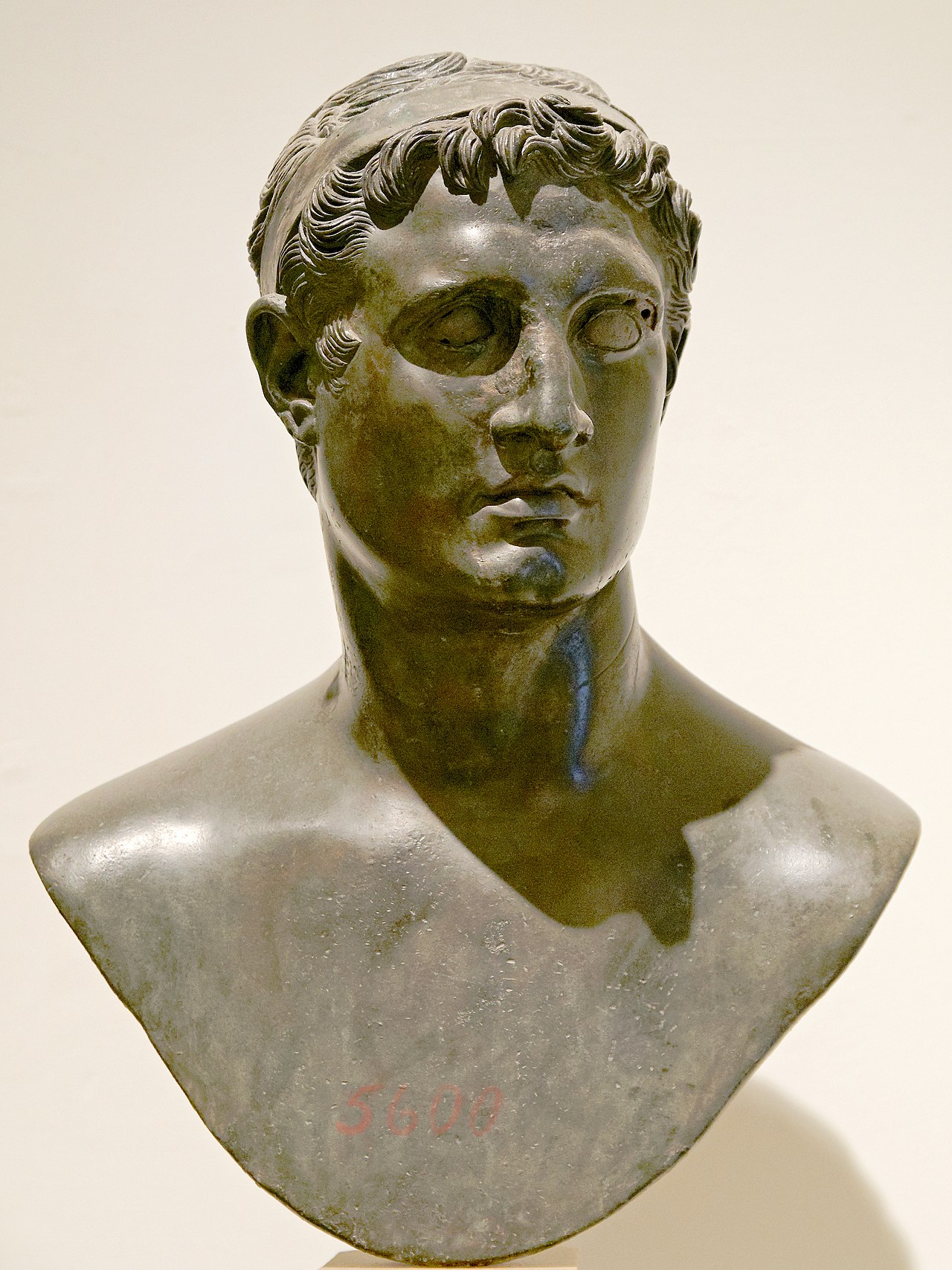 Bust excavated at the Villa of the Papyri depicting Ptolemy II Philadelphus, who is believed to have been the one to establish the Library as an actual institution, although plans for it may have been developed by his father Ptolemy I Soter