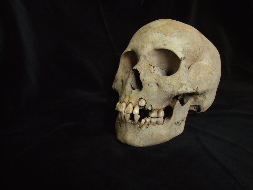 5,500 Years Ago, an Invisible Killer Swept Through Siberia—Now Scientists Know Its Name 2 5,500 Years Ago, an Invisible Killer Swept Through Siberia—Now Scientists Know Its Name 1